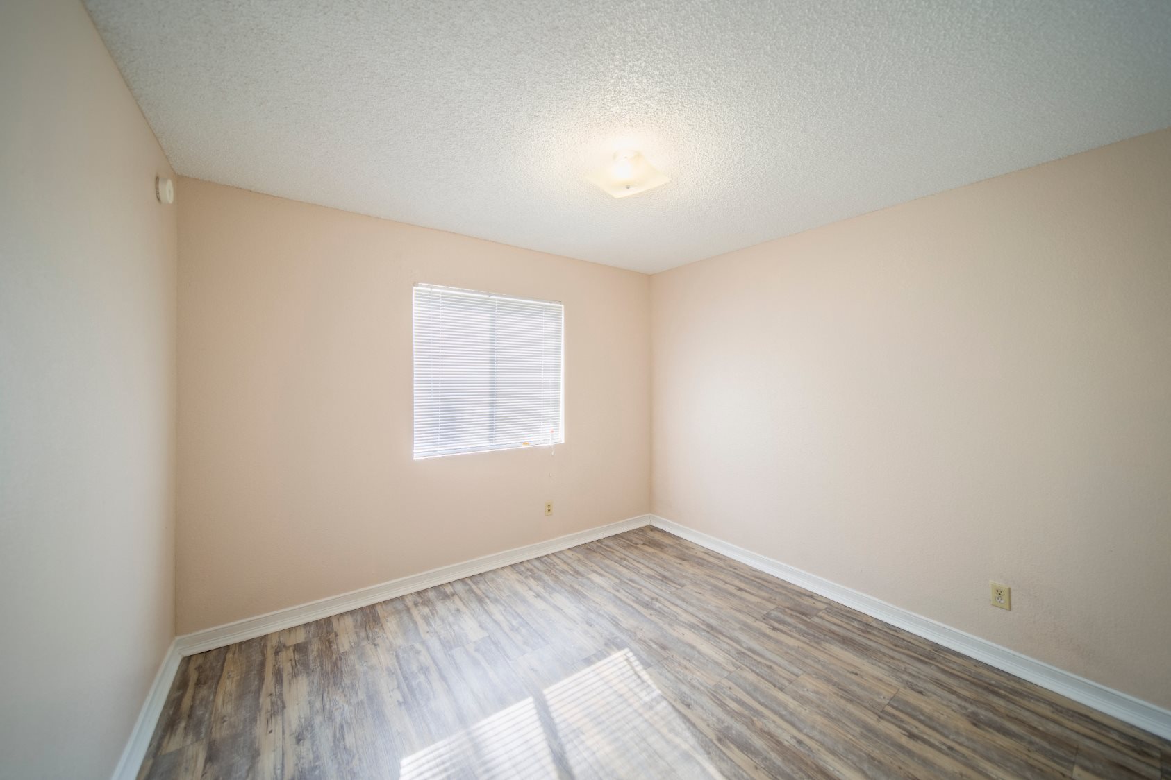 Gallery Photo 23